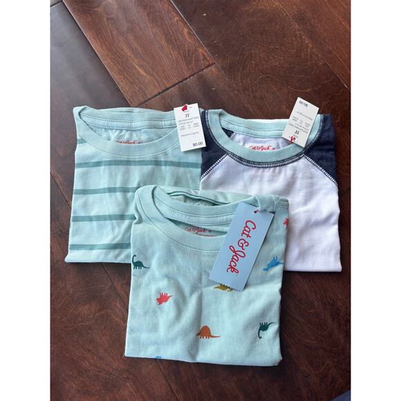 Cat and Jack Boys 3T Tee Shirts Pack of 3 Dinosaurs Blue NEW - Picture 2 of 6